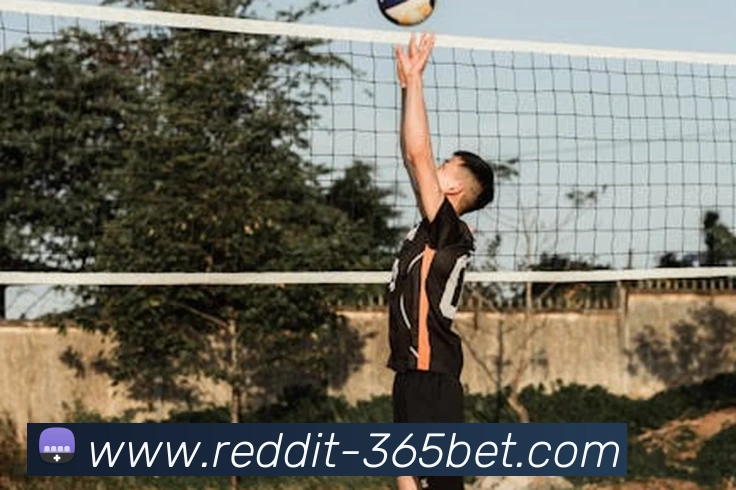 365bet平台生态图